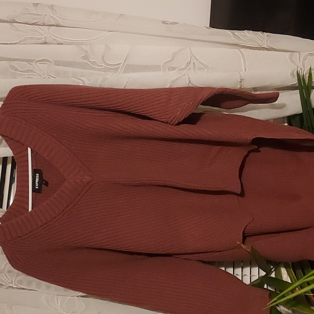 Express  sweater